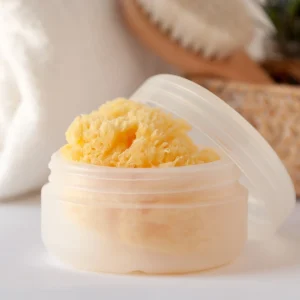 ESPONJA NATURAL COM CAIXA 7/8CM